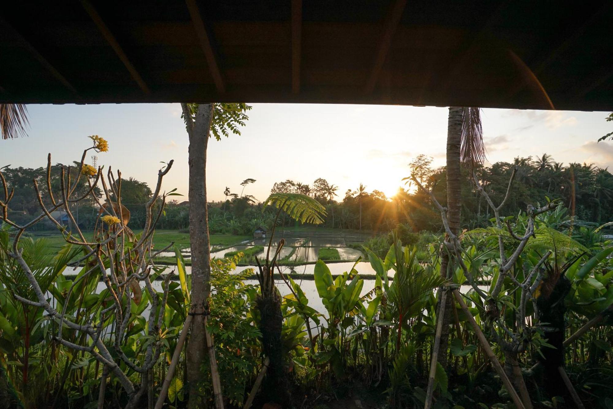 Ubud Art Resort Eksteriør billede