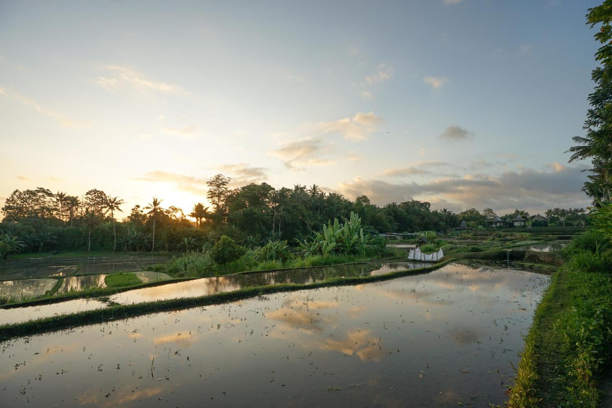 Ubud Art Resort Eksteriør billede