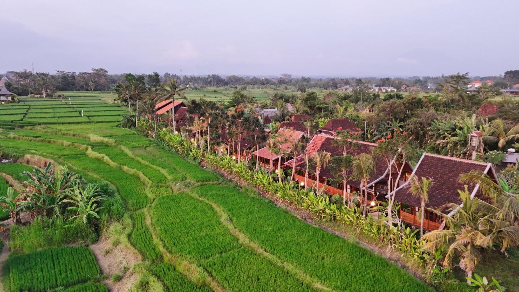 Ubud Art Resort Eksteriør billede