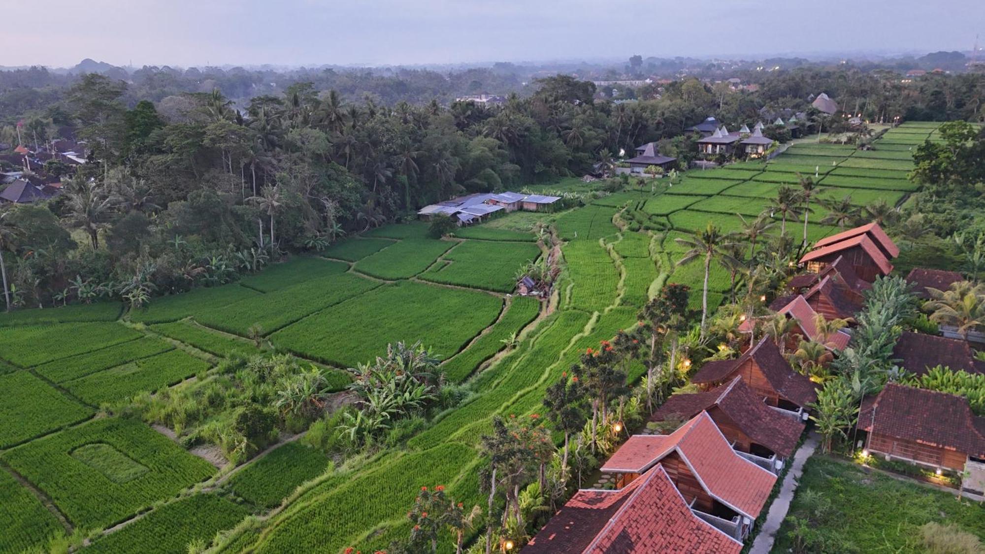Ubud Art Resort Eksteriør billede