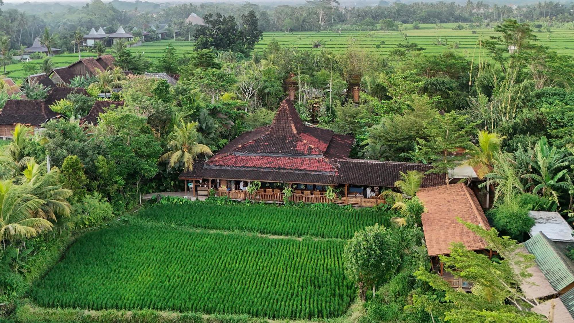 Ubud Art Resort Eksteriør billede